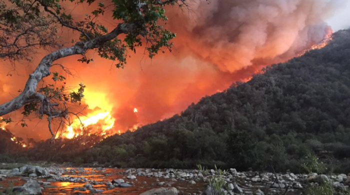 Foto: epa/Us Forest Service