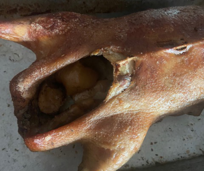 Meine vorgezogene Weihnachtsgans ist sehr schön braun gebrannt. Fotos: hf