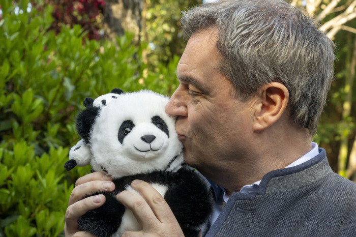 Markus Söder, (CSU) Ministerpräsident von Bayern, hält bei seinem Besuch des Chengdu Research Base of Giant Panda Breeding einen geschenkten Panda-Plüschbär im Arm. Foto: Peter Kneffel/dpa