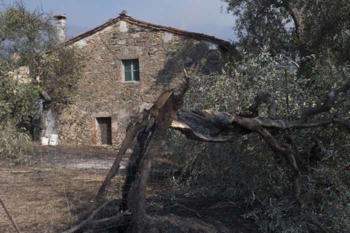 Verbrannte Hügel nahe Pisa nach großem Waldbrand bei Calci. Hunderte Hektar Land wurden zerstört, zahlreiche Menschen mussten evakuiert werden. Foto: EPA/Riccardo Dalle Luche