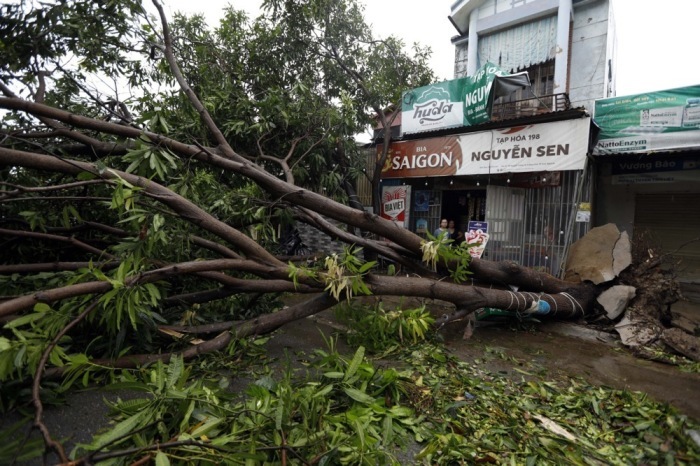 Ein umgestürzter Baum blockiert nach dem Durchzug des Taifuns Kajiki eine Straße in der Stadt Vinh in Zentralvietnam. Foto: epa/Luong Thai Linh