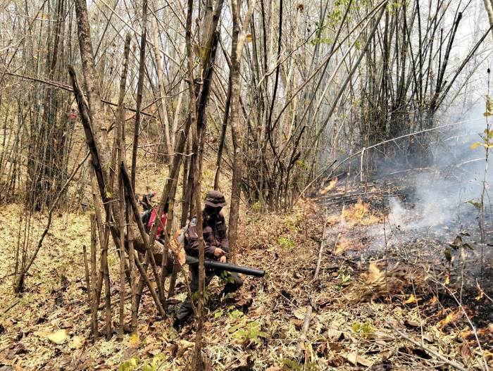 Satellitendaten zeigen zahlreiche Hotspots, die überwiegend auf Brände in Wald- und Schutzgebieten hindeuten. Bild: Department of National Parks, Wildlife and Plant Conservation (DNP)