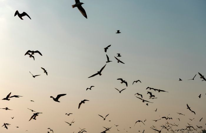 Foto: Ausgewählter Lifestyle Für Unsplash+