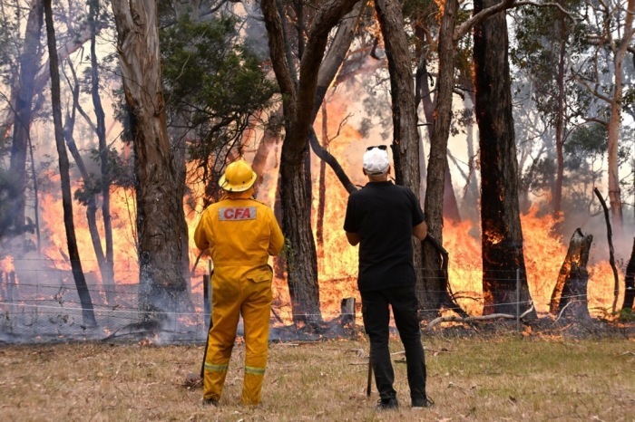 Große Buschfeuer wüten im westlichen Victoria. Foto: epa/James Ross Australia And New Zealand Out