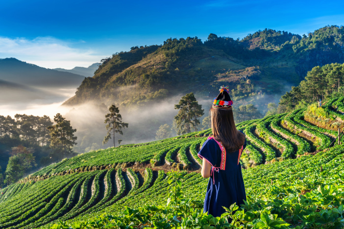Ein Traum in Grün: Thailands Norden. Foto: tawatchai1990/Adobe Stock