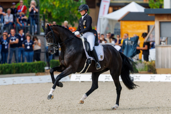 Europameisterschaft, Grand Prix, Team-Entscheidung, Isabell Werth auf ihrem Wendy de Fontaine in der Prüfung. Foto: Stefan Lafrentz/dpa