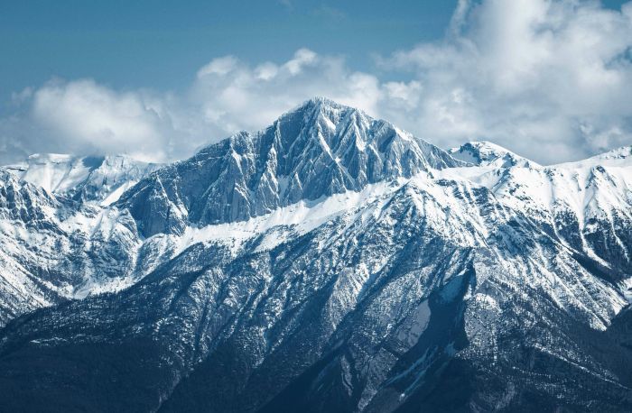 Foto: Davey Gravy Für Unsplash+