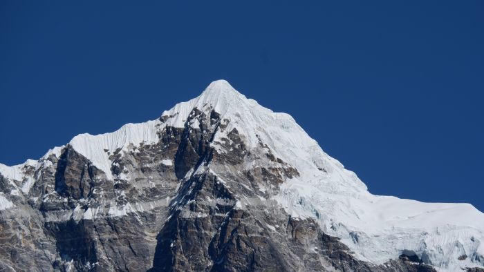 Foto von Surya Singh auf Unsplash