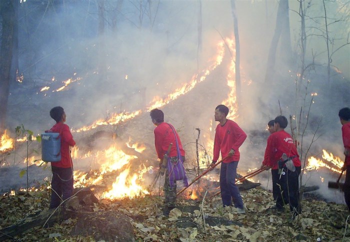 Thailändische Forstbeamte löschen einen Waldbrand in der Provinz Chiang Mai in Nordthailand. Archivbild: epa/STR