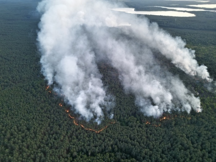Der Großbrand im Müritz-Nationalpark breitet sich weiter aus. Foto: Marcus Mohnfeld/Landkreis Mecklenburgische Seenplatte/dpa