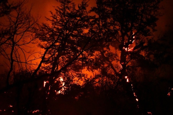 Ein Waldbrand wütet nahe Cholila in der argentinischen Provinz Chubut, wo extreme Wetterbedingungen die Feuer weiter anfachen. Foto: epa/Stringer
