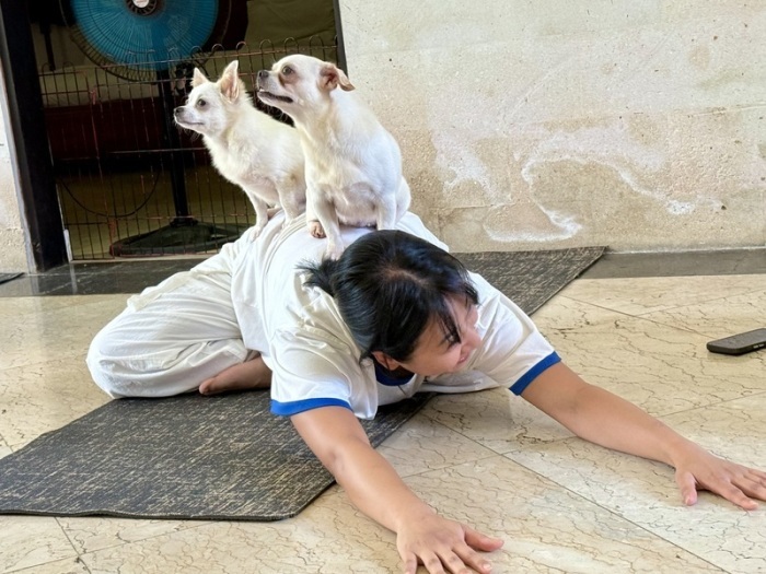 Ein Welpe tapst während einer Puppy-Yoga-Stunde in Canggu über Teilnehmer. Der Wellness-Trend stößt auch auf Kritik. Foto: dpa/Carola Frentzen