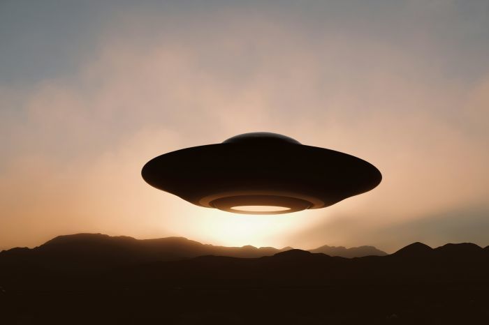 Foto: Wesley Tingey Für Unsplash+