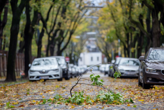 Ein Baumstamm in Wien liegt auf einer Straße in Wien. Archivfoto: epa/LISI NIESNER