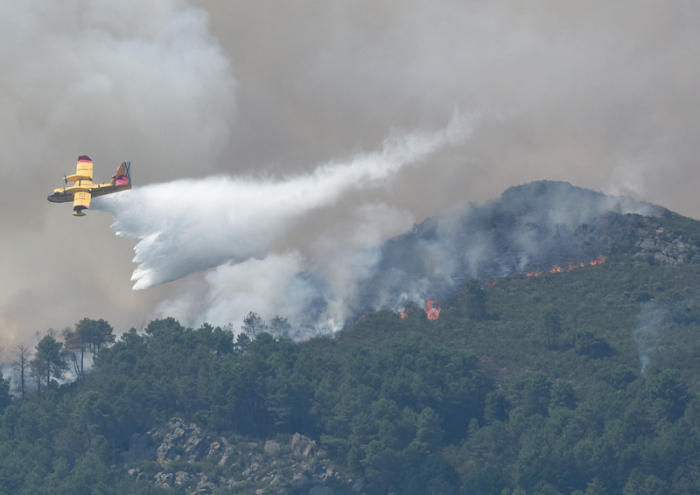 Ein Löschflugzeug ist während eines Waldbrandes im Einsatz. Foto: Gustavo Valiente