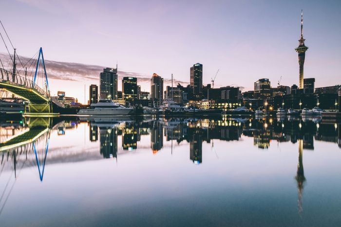 Foto: Unsplash/Dan Freeman