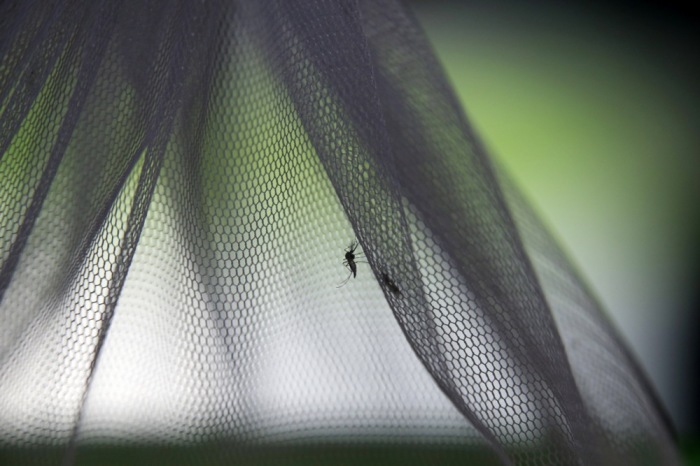 Moskitoschutz ist entscheidend: Netze verhindern Stiche und schützen vor Zika während der Regenzeit in Thailand. Foto: epa-efe/Narong Sangnak