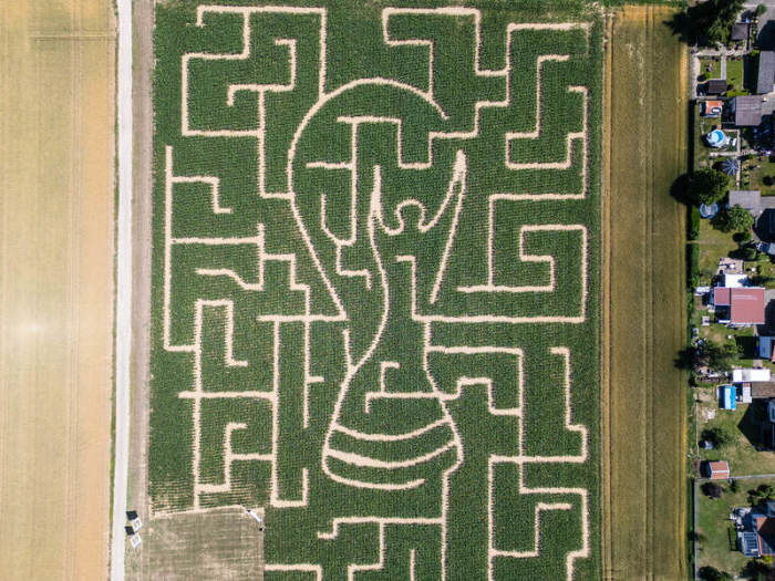 Das Maisfeld-Labyrinth in Form eines riesigen WM-Pokals von Landwirt Adrian Schlenker in Buggingen. Foto: Silas Stein/dpa