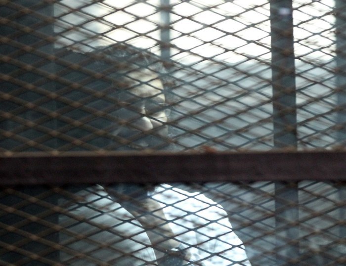 Der prominente ägyptische Demokratieaktivist Alaa Abdel-Fattah steht während einer Gerichtsverhandlung in Kairo hinter Gittern. Foto: epa/Khaled Elfiqi