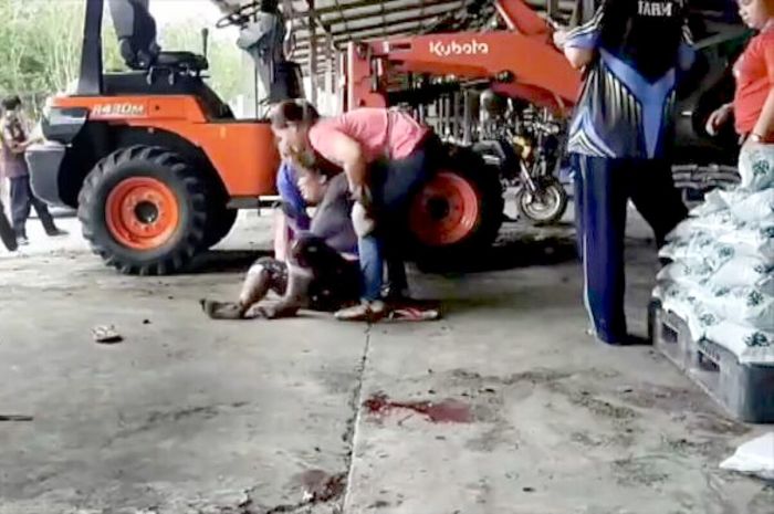 Bild: TMN Cable TV Pattaya