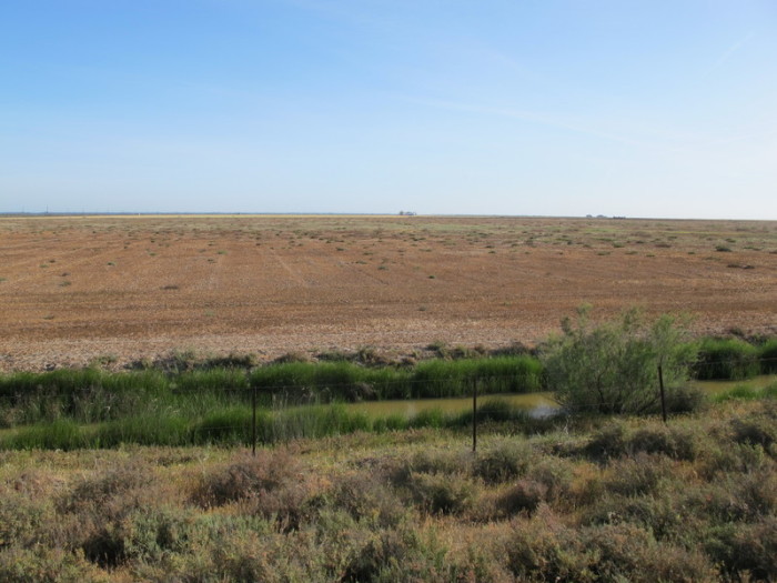 Das Feuchtgebiet Doñana ist in weiten Teilen von Austrocknung bedroht. Foto: Jan-Uwe Ronneburger/dpa
