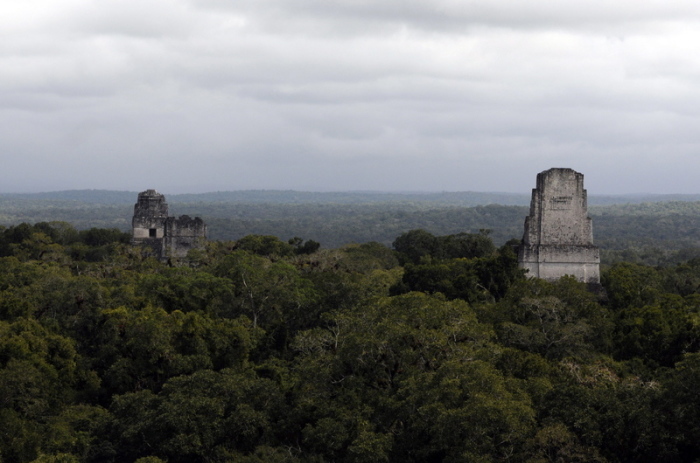 Blick auf die Ruinen von Tikal, nahe der neu entdeckten Maya-Stätte „Los Abuelos“ in Guatemala. Foto: dpa/Sandra Sebastian