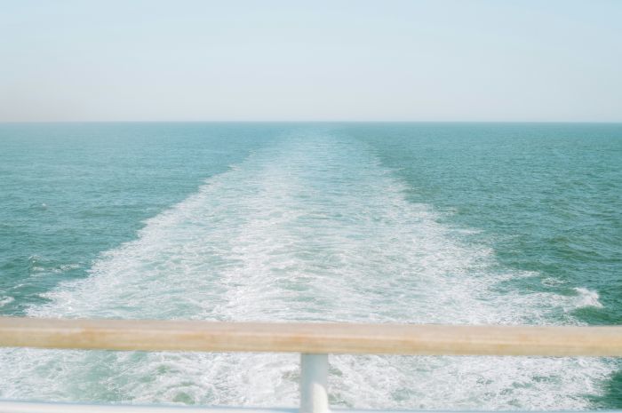 Foto: Annie Spratt Für Unsplash+