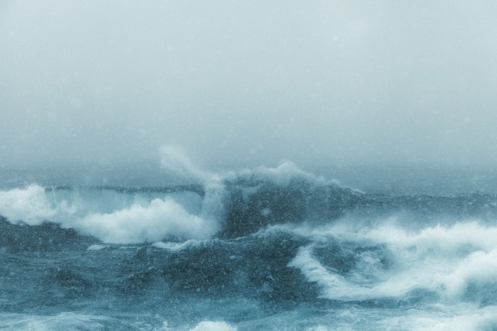 Foto: Unsplash/Hans Isaacson