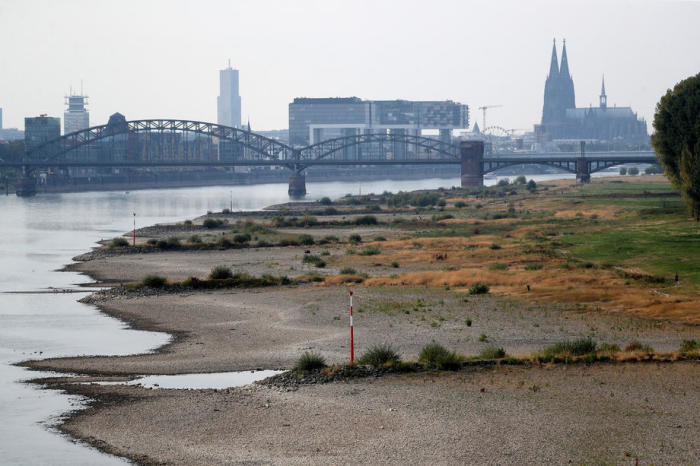 Niederwasserstand des Rheins in Köln. Foto: epa/Friedemann Vogel