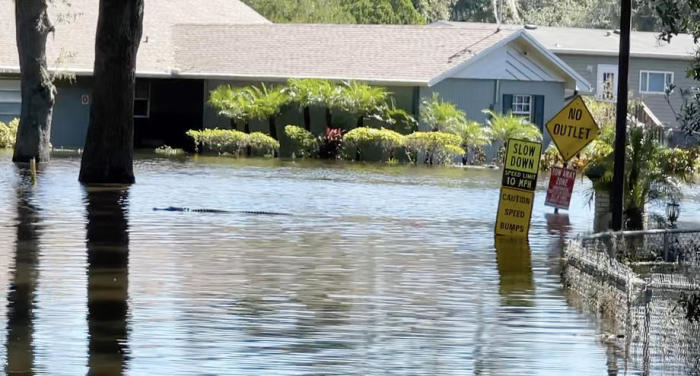 In Orlando schwimmt ein Alligator in den Fluten eines Wohnviertels nach dem Hurrikan Ian. Foto: epa/Gary Bogdon