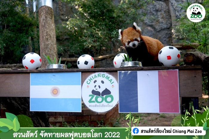 Foto: Chiang Mai Zoo