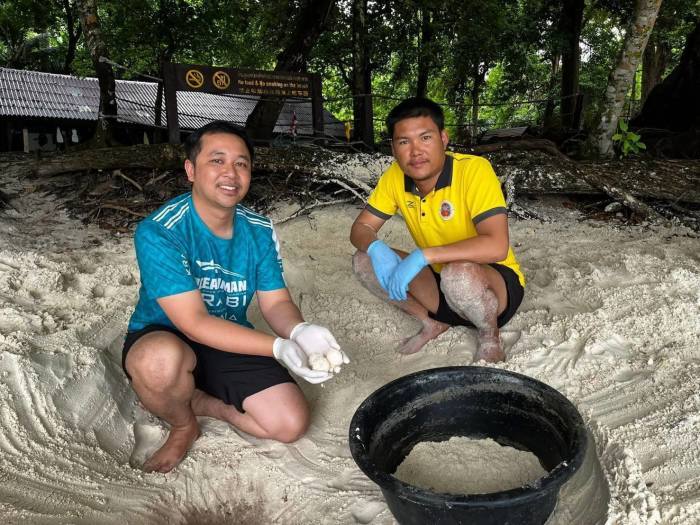 Nationalpark-Mitarbeiter auf der Insel Miang freuen sich über den seltenen Fund eines Schildkrötennestes. Bild: Department of National Parks, Wildlife and Plant Conservation (DNP)