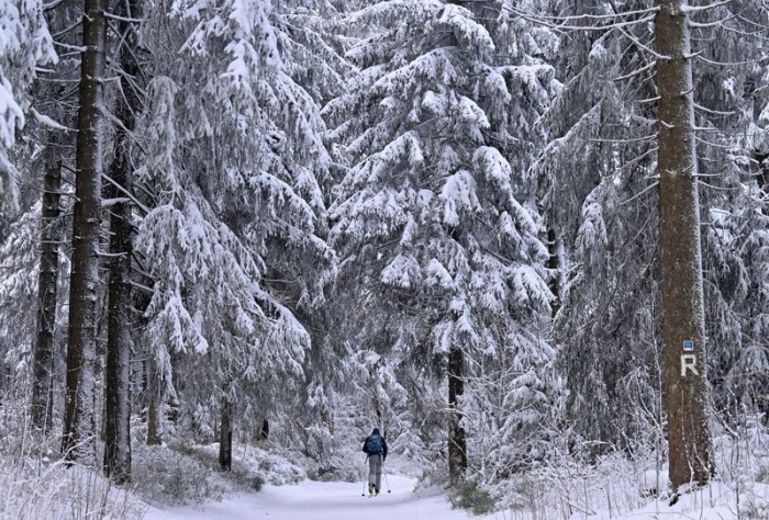 Ein Skiläufer ist im verschneiten Thüringer Wald unterwegs. In Gera wird wegen Eispanzern vor umstürzenden Bäumen und abbrechenden Ästen gewarnt. Foto: Martin Schutt/dpa