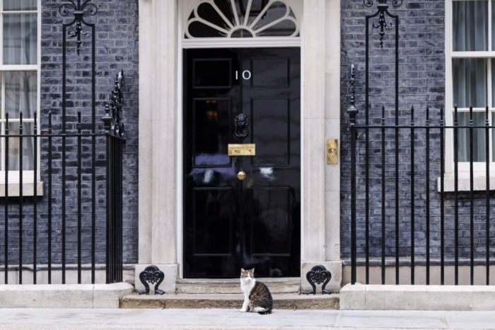 Kater Larry sitzt vor dem Amtssitz des britischen Premierministers in der Downing Street in London. Foto: EPA/Tolga Akmen