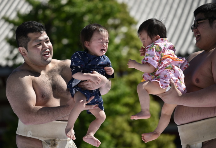 Babys werden von Amateursumor-Ringern bei einem Nakizumo-Wettbewerb im Sensoji-Tempel gehalten. Das Nakizumo ist eine traditionelle Veranstaltung, bei der Babys in Begleitung von Sumo-Ringern gegeneinander antrete... Foto: Franck Robichon/epa/dpa