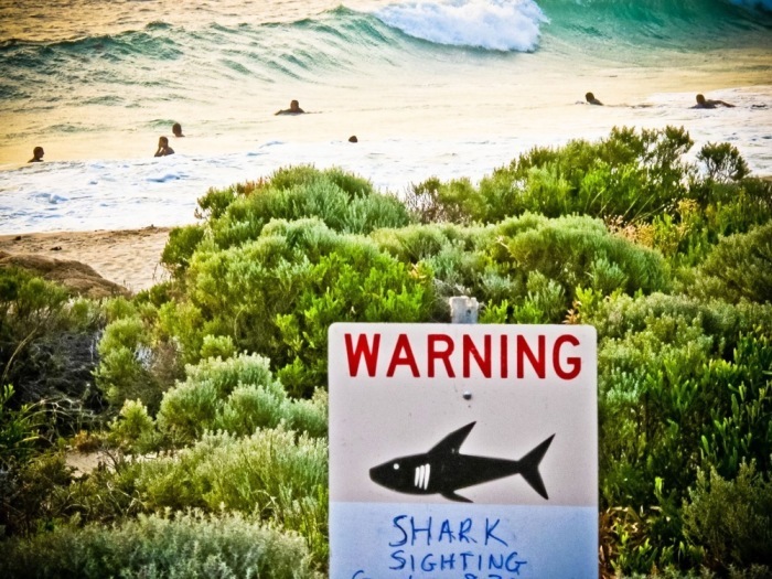 Australischer Surfer stirbt bei Hai-Angriff. Foto: epa/Rebecca Le May