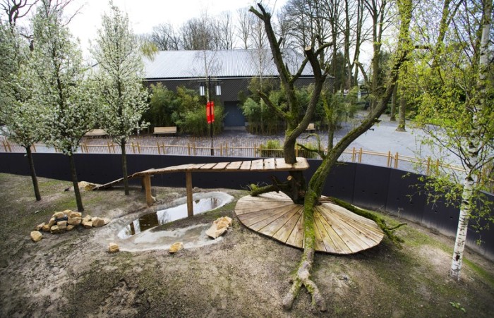  Das künftige Heim der beiden Riesenpandas. Foto: epa/Piroschka Van De Wouw