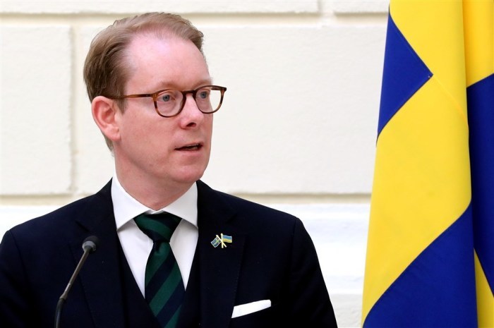 Schwedischer Außenminister Tobias Billstrom in Sarajewo. Foto: epa/Fehim Demir