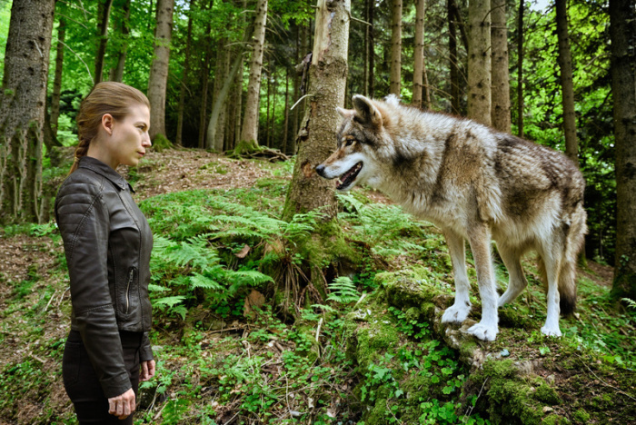 Hannah Zeiler (Nora Waldstätten) sucht im Wald nach Spuren, als der Wolf vor ihr auftaucht in dieser Szene des TV-Krimis 