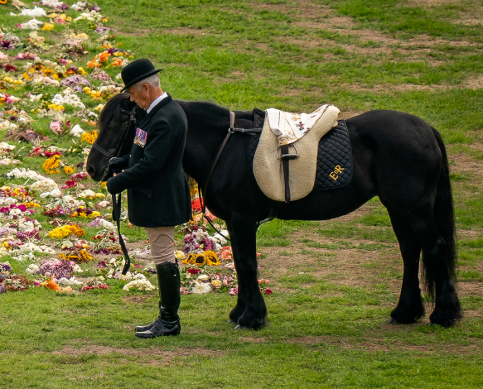Emma, das Lieblingspferd der Queen, steht bei der feierlichen Prozession mit dem Sarg von Königin Elizabeth II. auf dem Gelände von Schloss Windsor neben einem Blumenmeer. Foto: Aaron Chown/Pa Wire/dpa
