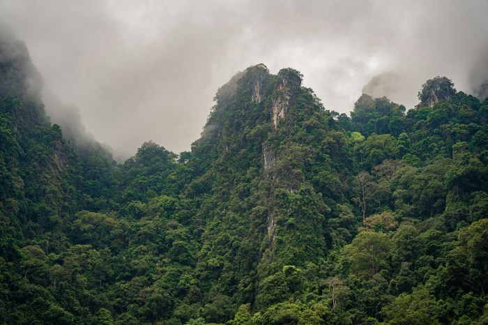 Dunkle Regenwolken ziehen über Teile Südthailands auf. Die Meteorologiebehörde warnt vor Starkregen und Gewittern. Foto: Dario Brönnimann/Unsplash+
