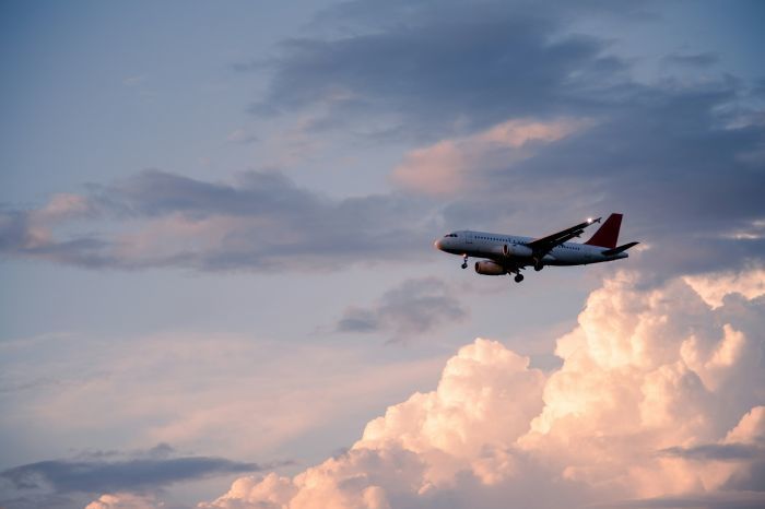 Foto: Getty Images Für Unsplash+