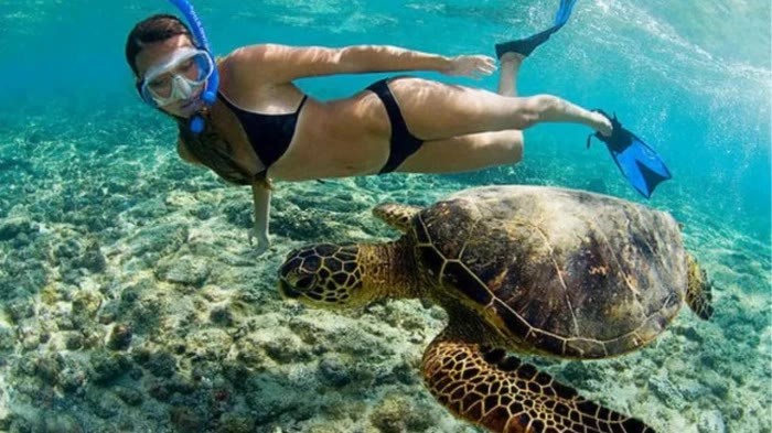 Die Similan-Inseln pausieren bis Mitte Oktober zum Schutz von Riffen und Besuchern – ein Modellprojekt für nachhaltigen Tourismus. Foto: Similan Seven Sea Club