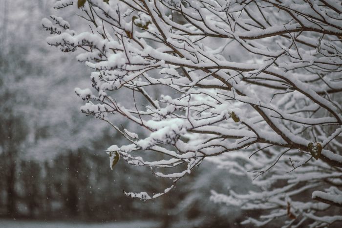 Foto: unsplash/Maddy Baker
