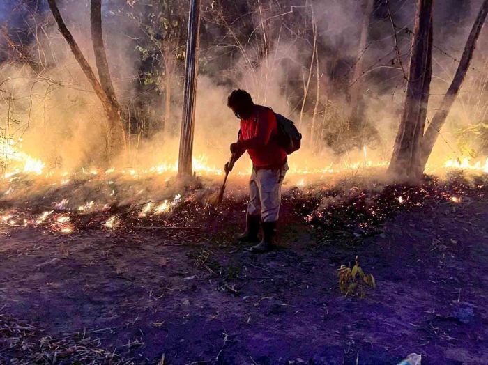 Einsatzkräfte kämpfen bei extremer Hitze gegen die Flammenfronten in den Wäldern von Phetchaburi. Foto: Hua Hin Sarn