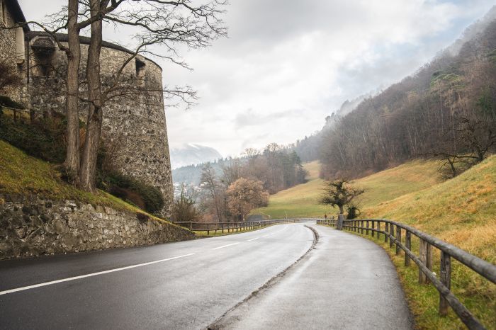 Kostenloses Foto von einer Straße, die einen Hügel neben dem Schloss Vaduz in Liechtenstein hinunterführt, aus einem hohen Winkel. Foto: epa/Wirestock
