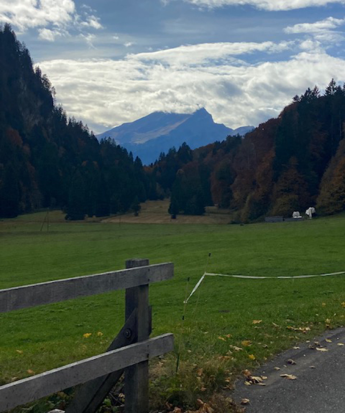 Die herbstlich eingefärbte Landschaft um Seewis lädt ein zu Wanderungen. Fotos: hf