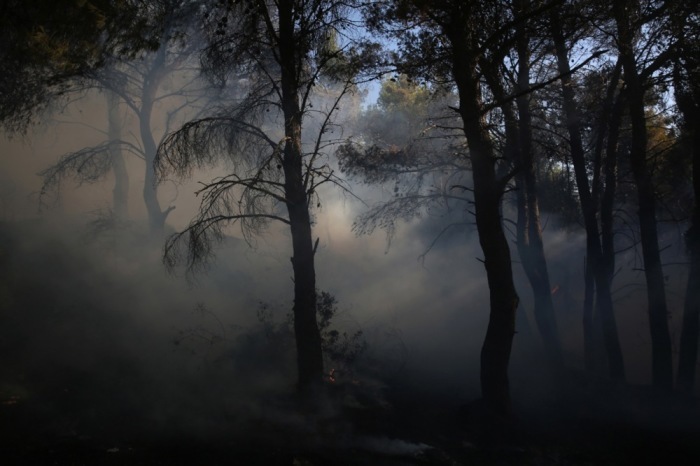Verbrannte Waldflächen in den Bergen bei Larnaka – die verheerendsten Brände seit Staatsgründung zwangen viele Menschen zur Flucht. Foto: epa/Katia Christodoulou