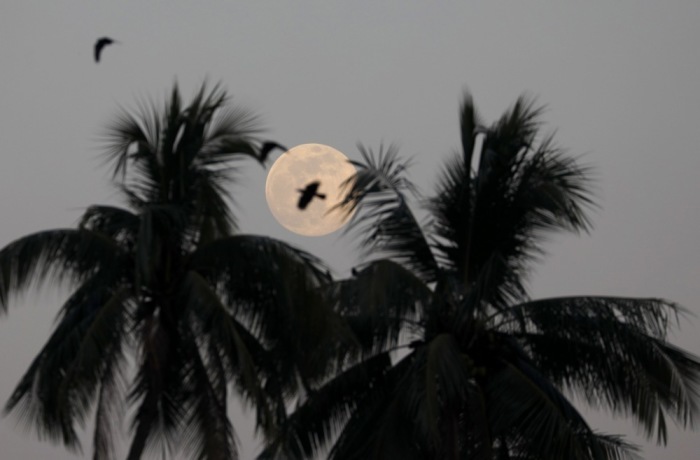Der letzte Supermond des Jahres, die «Cold Moon», leuchtet beeindruckend über dem nächtlichen Himmel von Yangon. Foto: epa/Nyein Chan Naing
