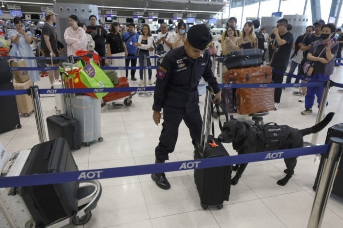 Ein Drogenspürhund der Polizeihundestaffel kontrolliert stichprobenartig Reisegepäck im internationalen Abflugbereich des Flughafens Suvarnabhumi. Foto: epa/Rungroj Yongrit